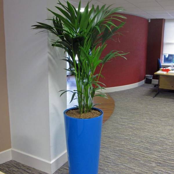 Green Plant Containers using Recycled Materials