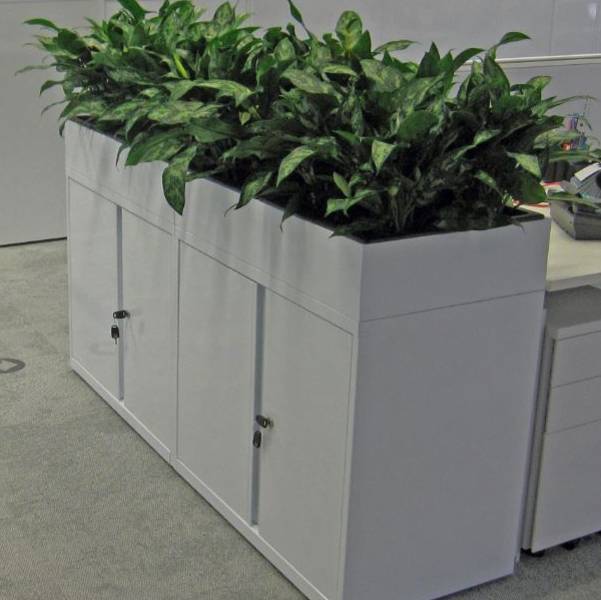 Cabinets with built in Planters give maximum visual impact as well as all of the other Health Benefits that live plants bring