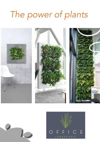 Live Pictures & Living Green Walls for Offices & Receptions