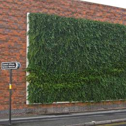 Interior & Exterior Living Green Walls supplied & fully maintained