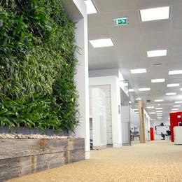 Our Gorgeous Green Walls look great & improve the air by removing harmful VOC chemicals