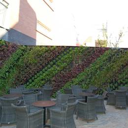 Green Walls can be used for commercial & residential buildings