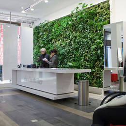 Green Walls greatly enhance any commercial premises, workplace or home