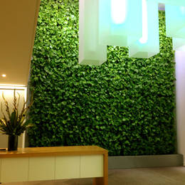 Green Walls look great in office Reception areas, Pubs & Restaurants