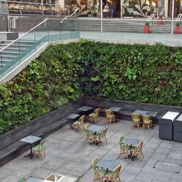 Green Walls are vertical gardens for all business Landscapes