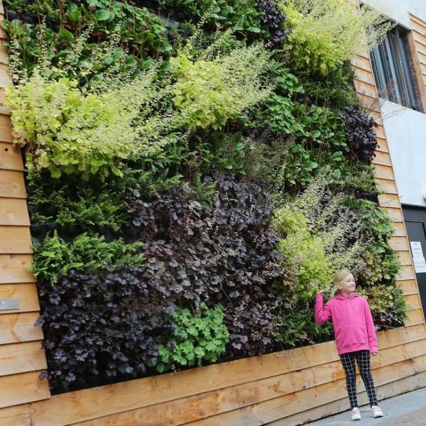 Green Walls make towns & cities greener & healthier