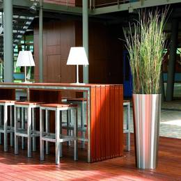 Artificial Foxtail Grass Plant In Modern Office Breakout Area
