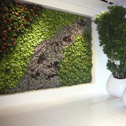Artificial Green Walls for Offices, Reception areas, Hotels & Restaurants