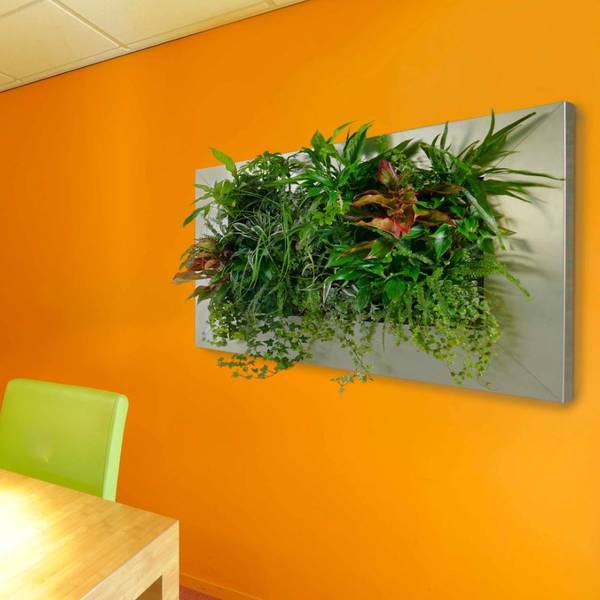 Live Picture plant displays are mini Green Walls for Offices, Restaurants & Hotels in Milton Keynes