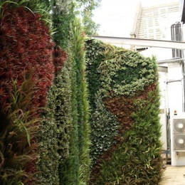 Artificial Green Wall using mixed Foliage with patterns running through