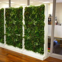 Artificial Freestanding Green Walls Scan Be Used As Dividers   Screens In Offices