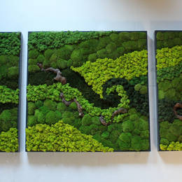 Moss Picture design using wood & different colours