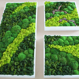Moss Picture design with wood & different colours & types of moss