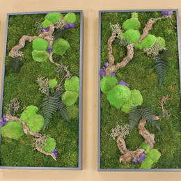 Moss Pictures with wood & Preserved Foliage