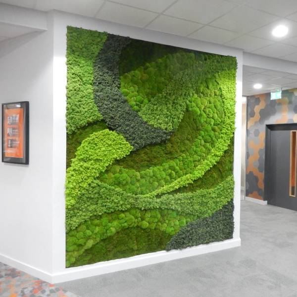 Moss Wall Art Design for Office Receptions