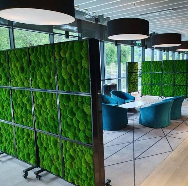 Green Screens Moss Walls and planted office room dividers