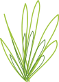Logo_plant_green