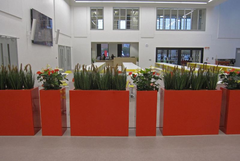 Artificial Dogtail Grasses & Anthurium Plants in tall barrier displays for a Birmingham School