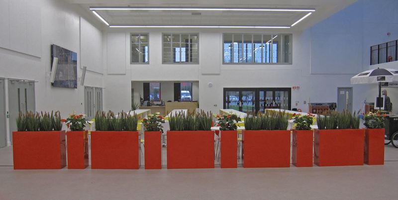 Artificial Grasses & Reed plants for Offices , Hotels ,Restauarants and Schools in the West Midlands