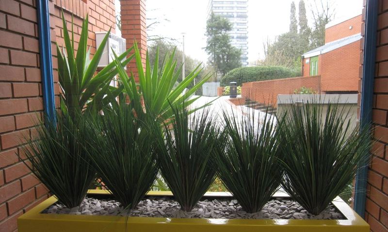 Artificial Onion Grass plants for office Receptions & schools in Derby, Leicester & Nottingham