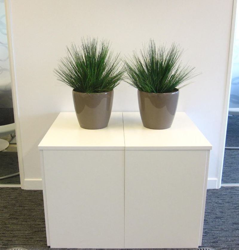 Artificial Onion grass plants for main school office