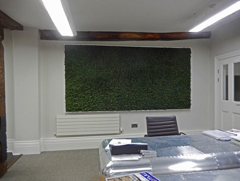 Moss Walls supplied and installed to a London office Reception