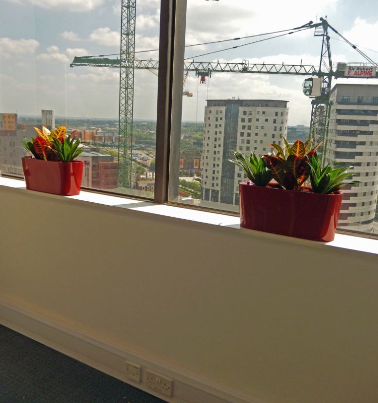Colourful windowsill plant displays improve the outlook of this Derby office Meeting Room