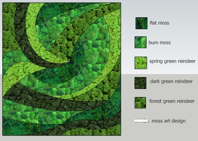 Moss wall design