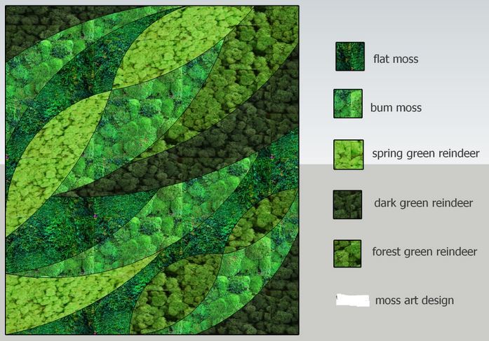 Moss wall design using different types of moss 