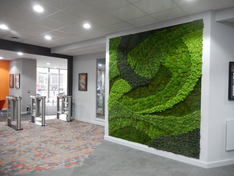 Moss Wall Art for Birmingham office Reception.