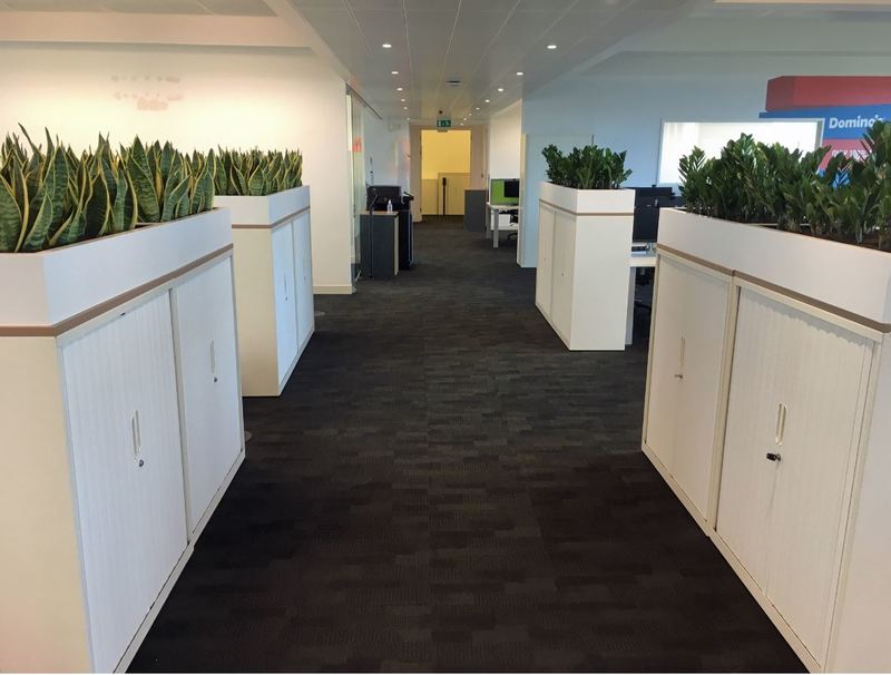 Office cabinet top plants create COVID-19 secure green walkways for West Midlands HQ