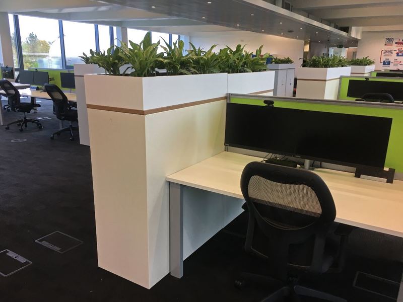Green office walkways and plant screens for desks at this West Midlands Corporate HQ