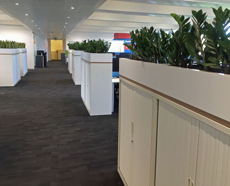 Green Plants used on top of cabinets create a Covid-19 secure walkway in this Midlands office