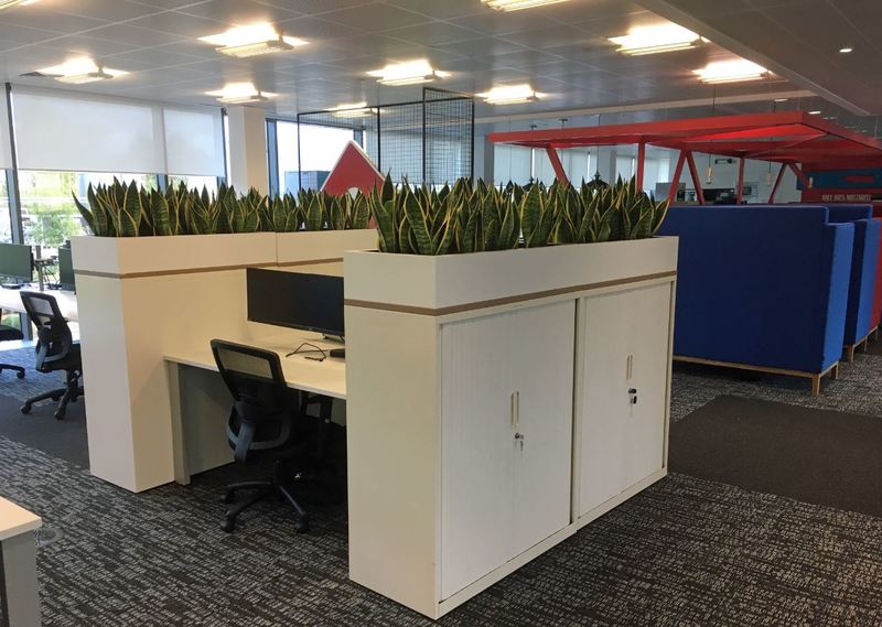 Screens with green plants and office desk dividers for West Midlands HQ building