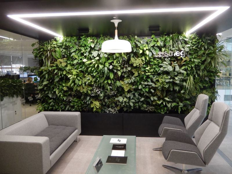Greenwall with a variety of office plants in this West Midlands Breakout Area