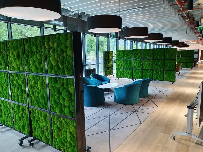 Green Screens Moss Walls office room  dividers with plants