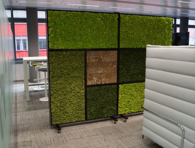 Moss Wall Office Room Dividers Green Screens with plants 