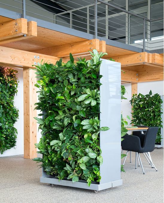 Portable Green Walls office dividers with plants