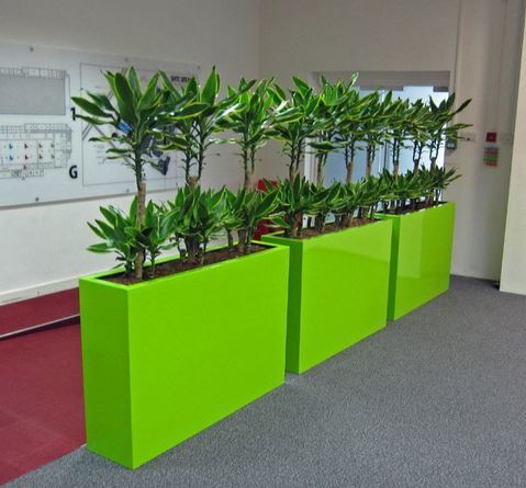 Rectangular Barrier plant displays and office room dividers 