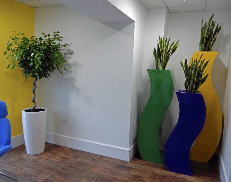 Tall Curvy S Plant Displays in 1st Floor office Breakout area