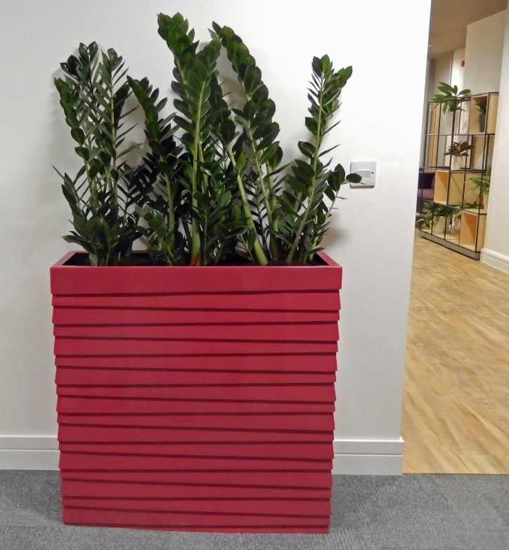 Groovy Stack Barrier Plant Display in city centre office corridor