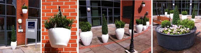 Offices and Hotel Plants in Manchester