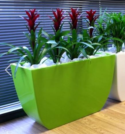 Barrier planter with red Bromeliads