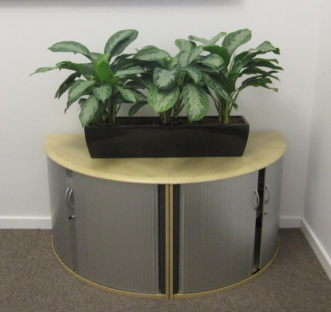 Cabinet top rectangular plant display in Nottingham offices