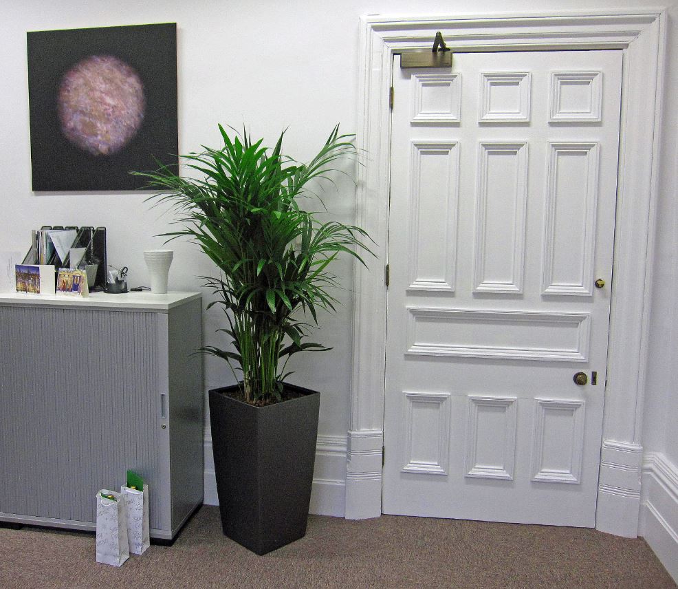 Cubico Palm display for Nottingham offices