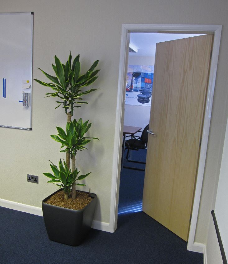 Grammer Seating in  Bloxwich have plants installed in the ground floor offices