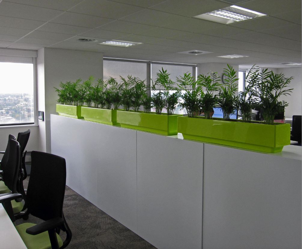 Green Cabinet top rectangular planters