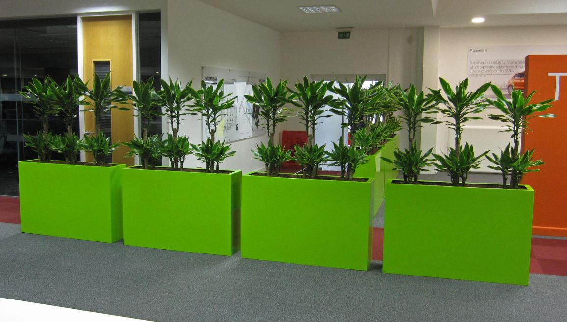 Living tropical barrier troughs used as screen planting
