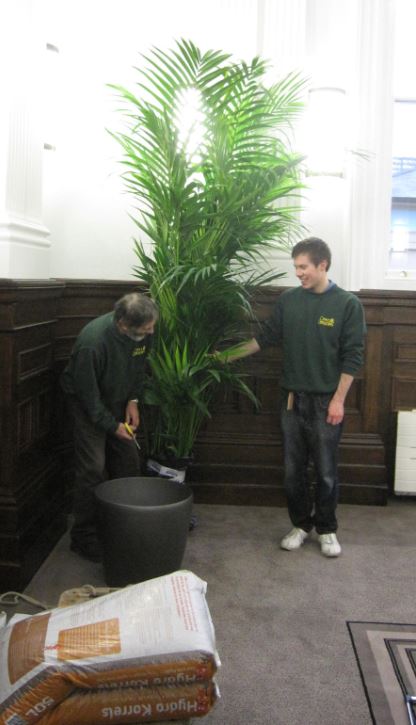 Making up the large Hydro Palm displays