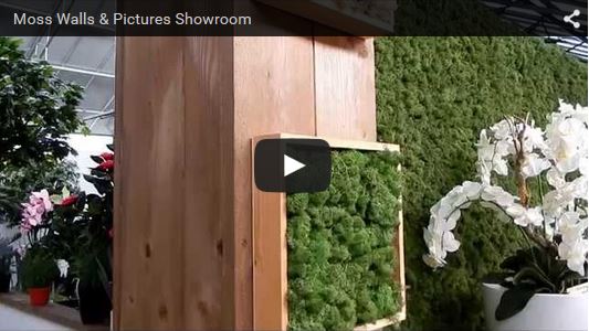 Moss Walls & Pictures Showroom Video